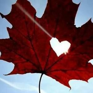 Meet your Posher, Billie jo